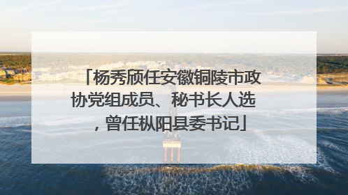 杨秀颀任安徽铜陵市政协党组成员、秘书长人选，曾任枞阳县委书记
