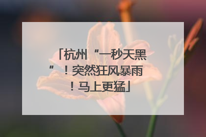 杭州“一秒天黑”！突然狂风暴雨！马上更猛