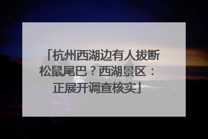 杭州西湖边有人拔断松鼠尾巴？西湖景区：正展开调查核实