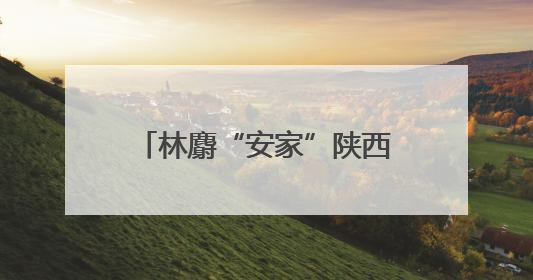 林麝“安家”陕西子洲 生态链上崛起的“黄金”产业
