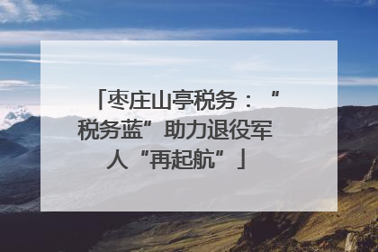 枣庄山亭税务：“税务蓝”助力退役军人“再起航”
