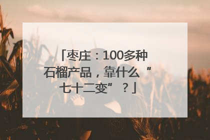 枣庄：100多种石榴产品，靠什么“七十二变”？