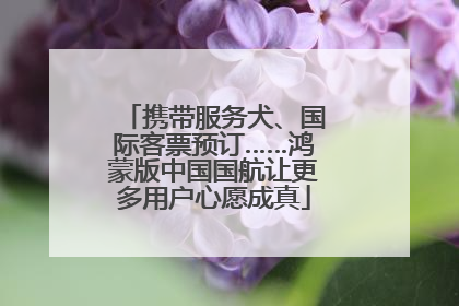 携带服务犬、国际客票预订……鸿蒙版中国国航让更多用户心愿成真