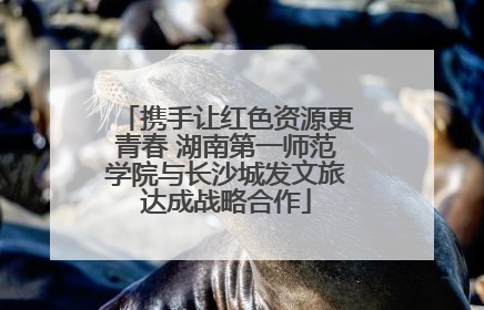 携手让红色资源更青春 湖南第一师范学院与长沙城发文旅达成战略合作