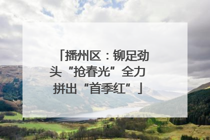 播州区：铆足劲头“抢春光”全力拼出“首季红”
