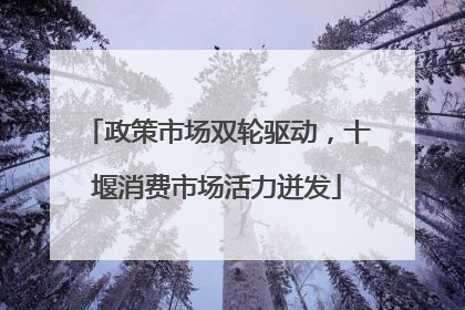 政策市场双轮驱动，十堰消费市场活力迸发