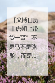 文博日历丨唐朝“带货一哥”不是马不是骆驼，而是……