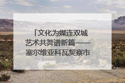 文化为媒连双城 艺术共舞谱新篇——塞尔维亚科瓦契察市代表团访问日照