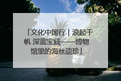 文化中国行｜浪起千帆 深蓝宝藏——博物馆里的海丝遗珍