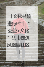 文化书院进行时丨“公益+文化”集市走进凤凰园社区