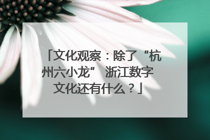 文化观察：除了“杭州六小龙” 浙江数字文化还有什么？