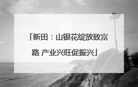 新田：山银花绽放致富路 产业兴旺促振兴