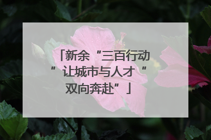 新余“三百行动”让城市与人才“双向奔赴”