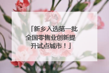 新乡入选第一批全国零售业创新提升试点城市！
