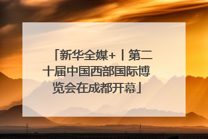 新华全媒+丨第二十届中国西部国际博览会在成都开幕