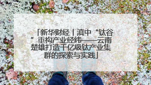 新华财经丨滇中“钛谷”重构产业经纬——云南楚雄打造千亿级钛产业集群的探索与实践