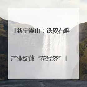 新宁崀山：铁皮石斛产业绽放“花经济”