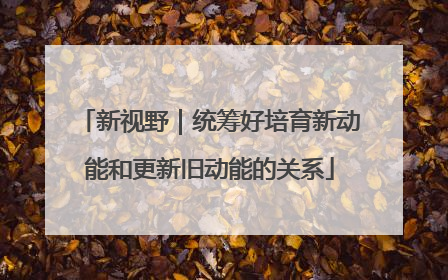 新视野｜统筹好培育新动能和更新旧动能的关系