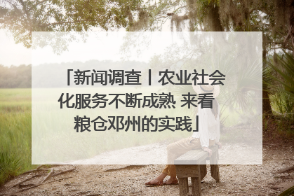 新闻调查丨农业社会化服务不断成熟 来看粮仓邓州的实践