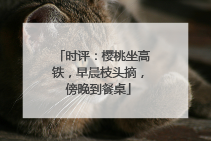 时评：樱桃坐高铁，早晨枝头摘，傍晚到餐桌