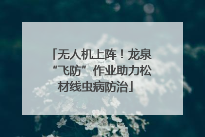 无人机上阵！龙泉“飞防”作业助力松材线虫病防治