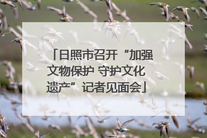 日照市召开“加强文物保护 守护文化遗产”记者见面会