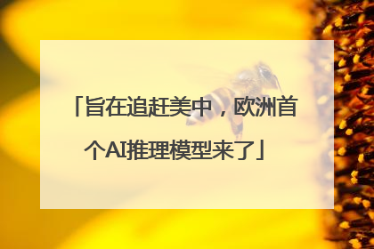 旨在追赶美中，欧洲首个AI推理模型来了