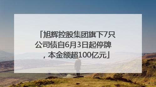旭辉控股集团旗下7只公司债自6月3日起停牌，本金额超100亿元
