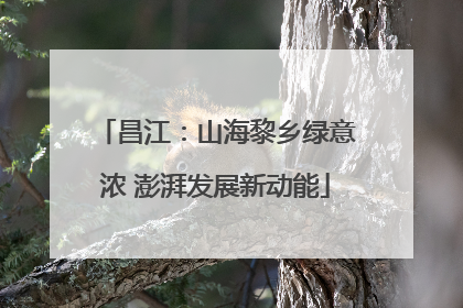 昌江：山海黎乡绿意浓 澎湃发展新动能