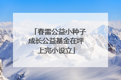 春雷公益小种子成长公益基金在坪上完小设立