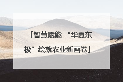 智慧赋能 “华夏东极”绘就农业新画卷