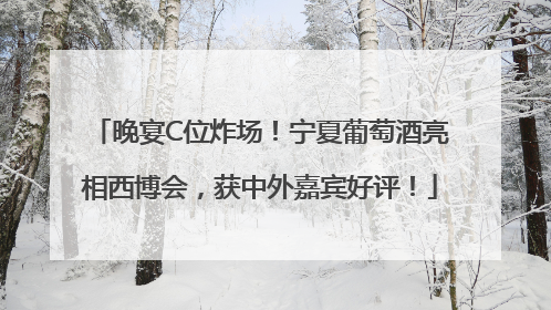 晚宴C位炸场！宁夏葡萄酒亮相西博会，获中外嘉宾好评！