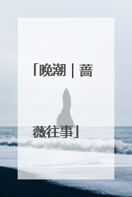 晚潮｜蔷薇往事