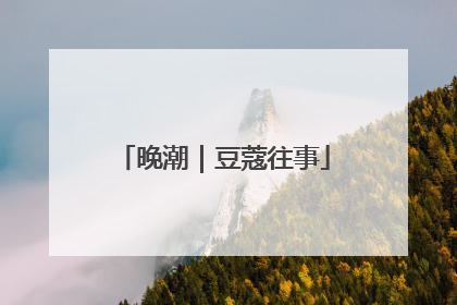 晚潮｜豆蔻往事