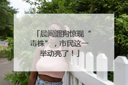 晨间遛狗惊现“毒株”，市民这一举动亮了！