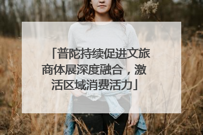 普陀持续促进文旅商体展深度融合，激活区域消费活力