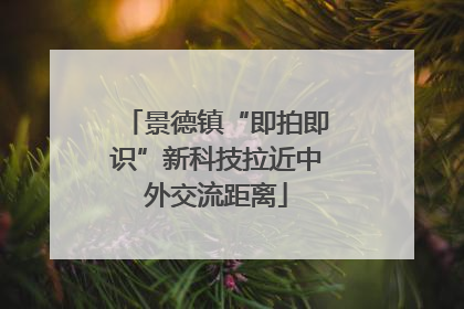 景德镇“即拍即识”新科技拉近中外交流距离