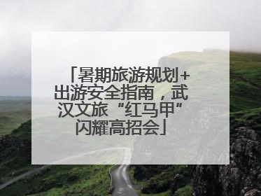 暑期旅游规划+出游安全指南，武汉文旅“红马甲”闪耀高招会