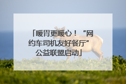 暖胃更暖心！“网约车司机友好餐厅”公益联盟启动