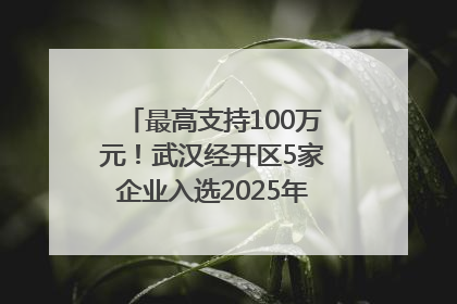 最高支持100万元！武汉经开区5家企业入选2025年度武汉市重点研发计划拟立项项目名单