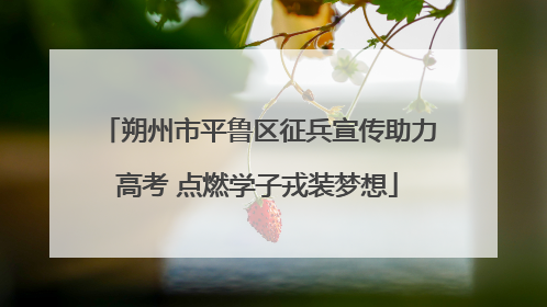 朔州市平鲁区征兵宣传助力高考 点燃学子戎装梦想