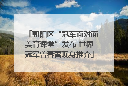 朝阳区“冠军面对面美育课堂”发布 世界冠军曾春蕾现身推介
