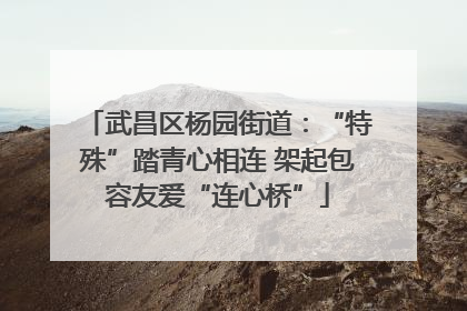 武昌区杨园街道：“特殊”踏青心相连 架起包容友爱“连心桥”