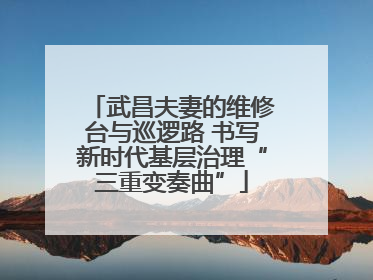 武昌夫妻的维修台与巡逻路 书写新时代基层治理“三重变奏曲”