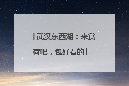 武汉东西湖：来赏荷吧，包好看的