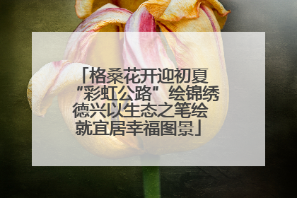 格桑花开迎初夏 “彩虹公路”绘锦绣 德兴以生态之笔绘就宜居幸福图景