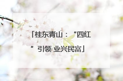 桂东青山：“四红”引领 业兴民富