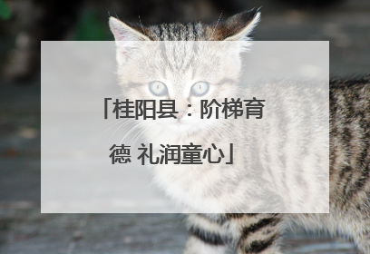 桂阳县：阶梯育德 礼润童心
