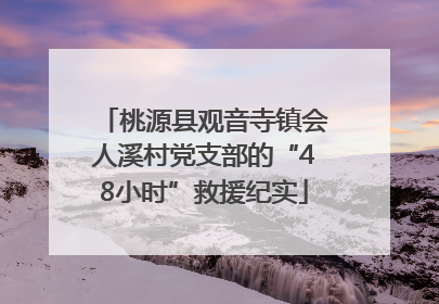 桃源县观音寺镇会人溪村党支部的“48小时”救援纪实