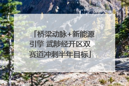 桥梁动脉+新能源引擎 武陟经开区双赛道冲刺半年目标